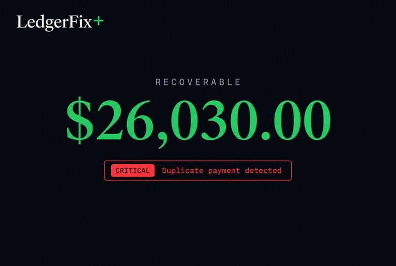 LedgerFix – screenshot 3