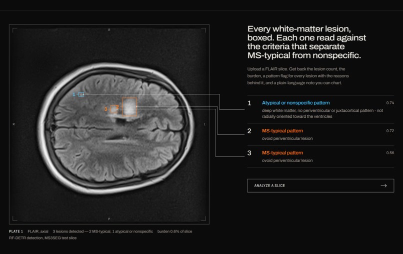 LesionLens – screenshot 1