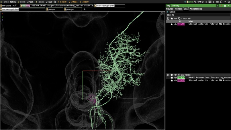 Probe the Fly – screenshot 5