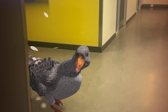 Goose Brawl
