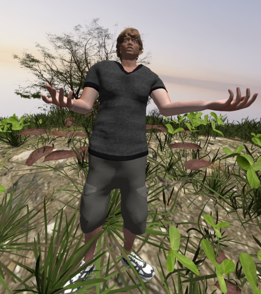 Living NPCs – screenshot 3