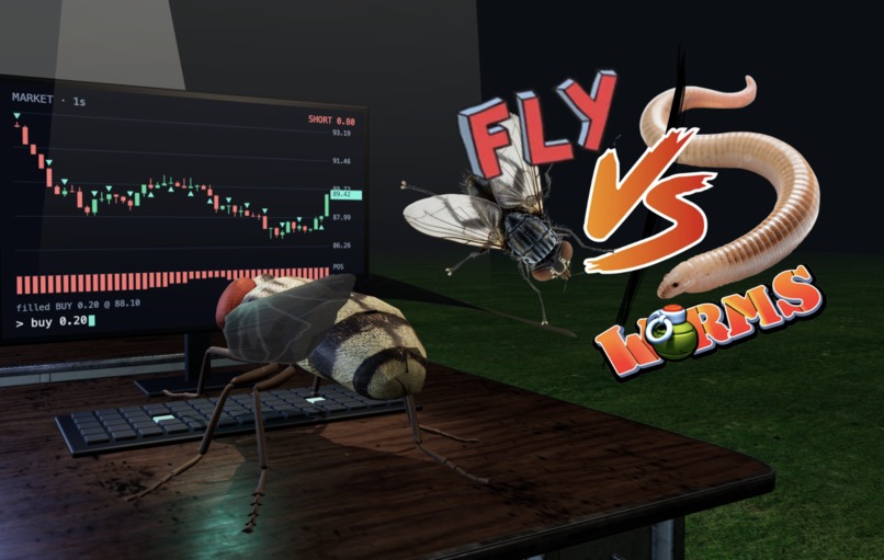 fly VS worm – screenshot 1