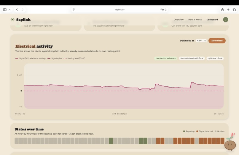 Saplink – screenshot 5