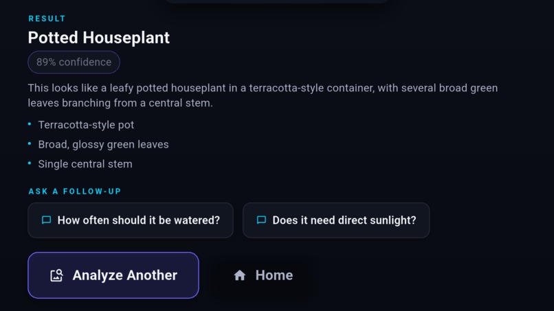 AI TV Vision Assistant – screenshot 2