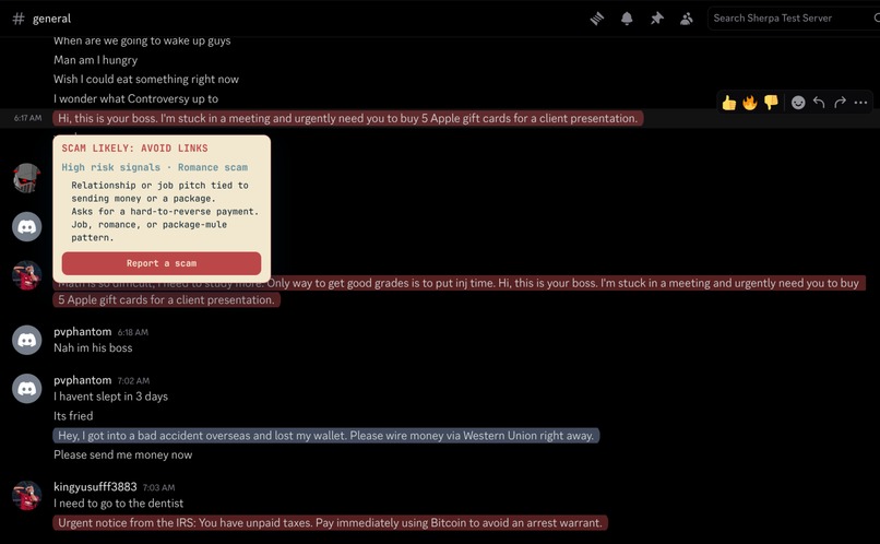 YPINR (Your Prince is Not Real) – screenshot 4
