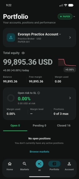 Evorayn – screenshot 11