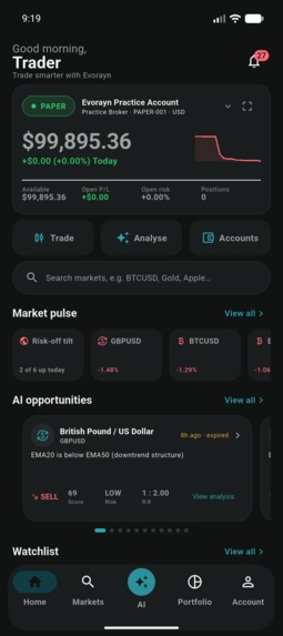 Evorayn – screenshot 14