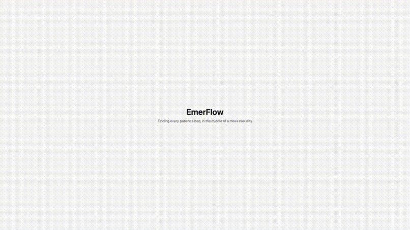 EmerFlow – screenshot 1