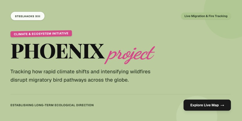 Phoenix Project – screenshot 1