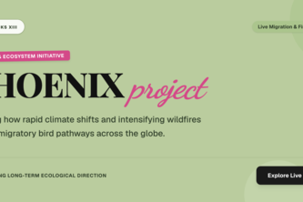 Phoenix Project