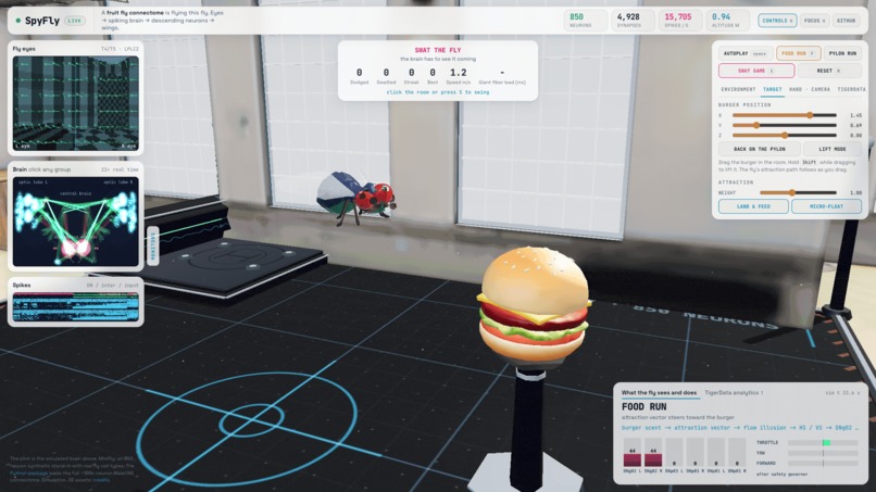 FlyBrain – screenshot 1