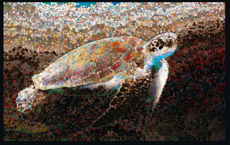 Guess-A-Morph – screenshot 1