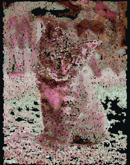 Guess-A-Morph – screenshot 3