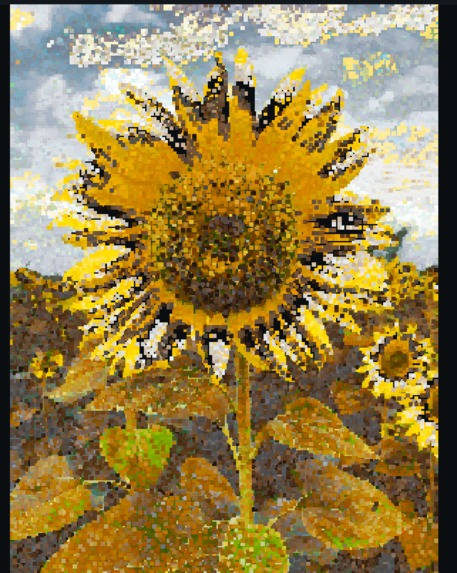 Guess-A-Morph – screenshot 4