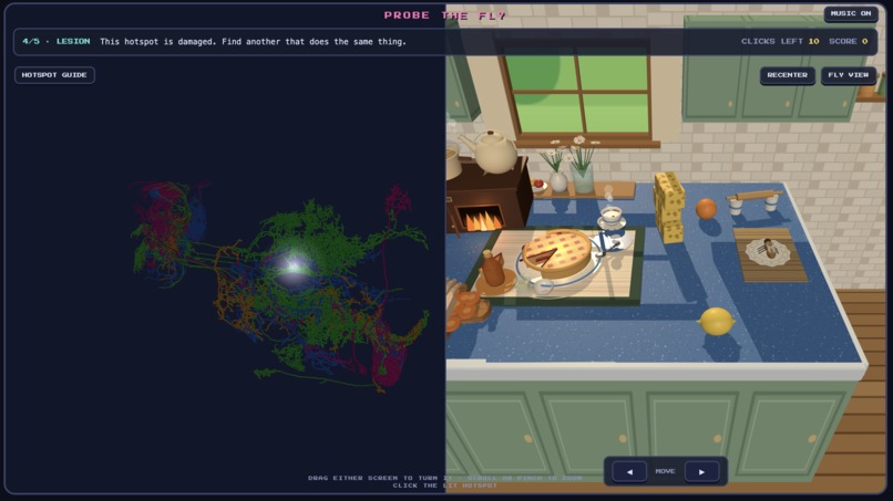 Probe the Fly – screenshot 2
