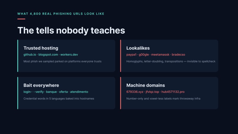 Don't Take the Bait – screenshot 3