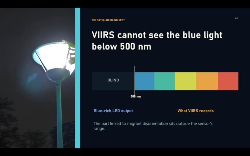 Nightjar – screenshot 3