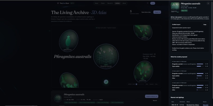 NotFromHere – screenshot 5