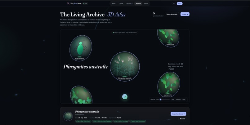 NotFromHere – screenshot 4