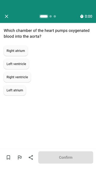 Testae – screenshot 2