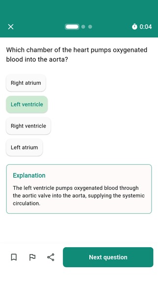 Testae – screenshot 3