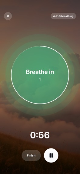 Wellnest – screenshot 5