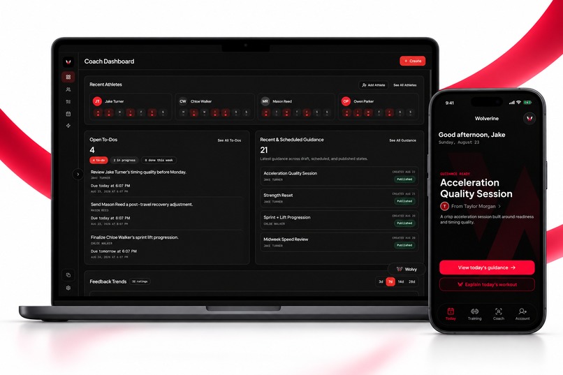 Wolverine – screenshot 3