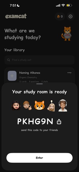 ExamCat – screenshot 11