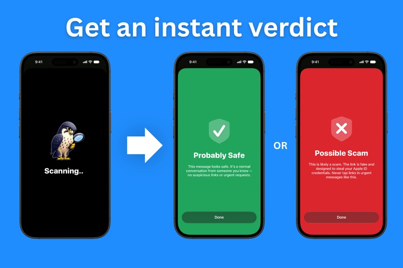 Scam Falcon – screenshot 2