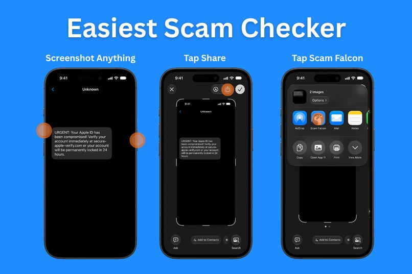 Scam Falcon – screenshot 1