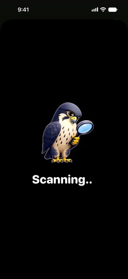 Scam Falcon – screenshot 4