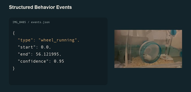 Pet Activity Report – screenshot 3