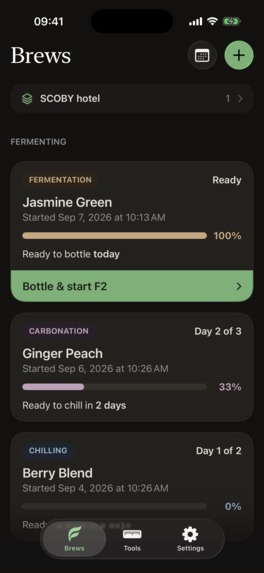 Fermenta – screenshot 7