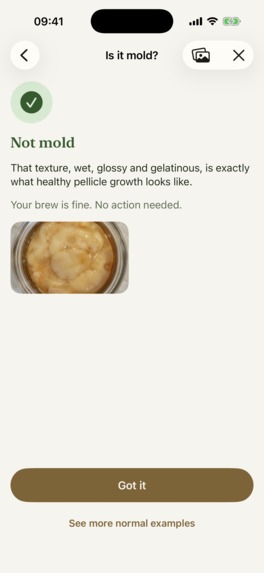Fermenta – screenshot 8