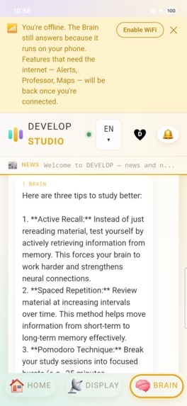 DEVELOP — on device AI – screenshot 1