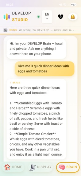 DEVELOP — on device AI – screenshot 3