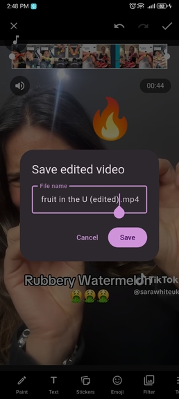 AllVideo – screenshot 5