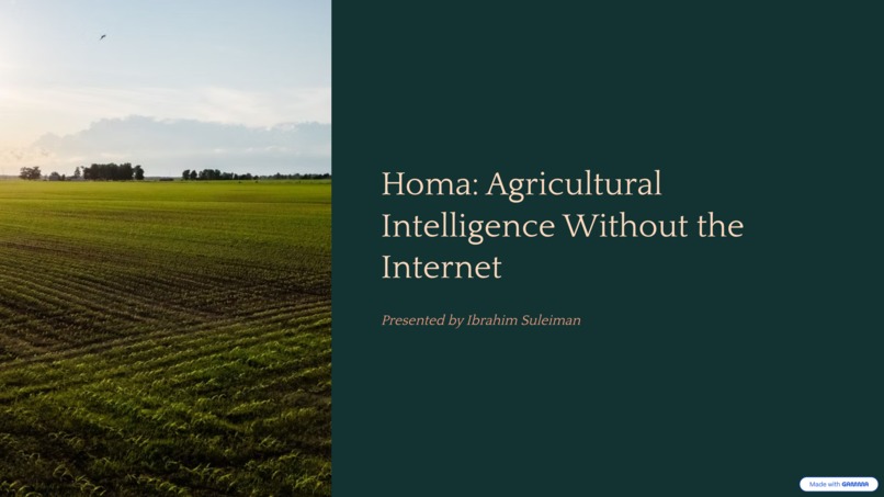 Homa – screenshot 1