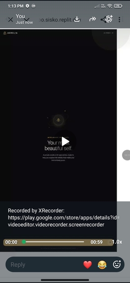 Aurelia AI Studio – screenshot 2