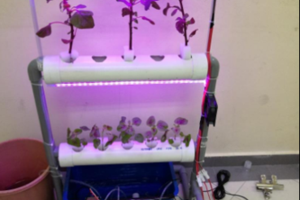 Smart Hydroponics