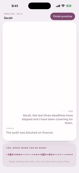 Rehearsal: Prepare to talk – screenshot 6