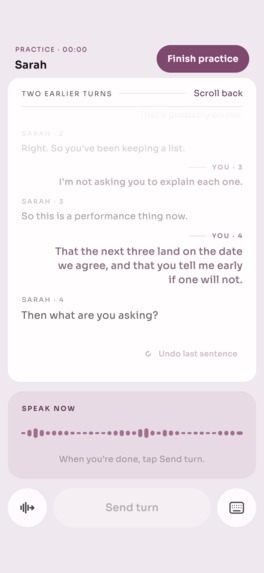 Rehearsal: Prepare to talk – screenshot 7