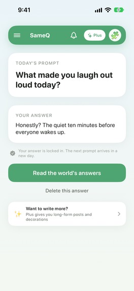 SameQ – screenshot 3