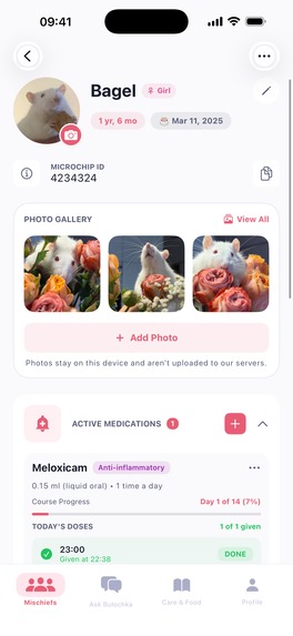 Rattitude Care – screenshot 7