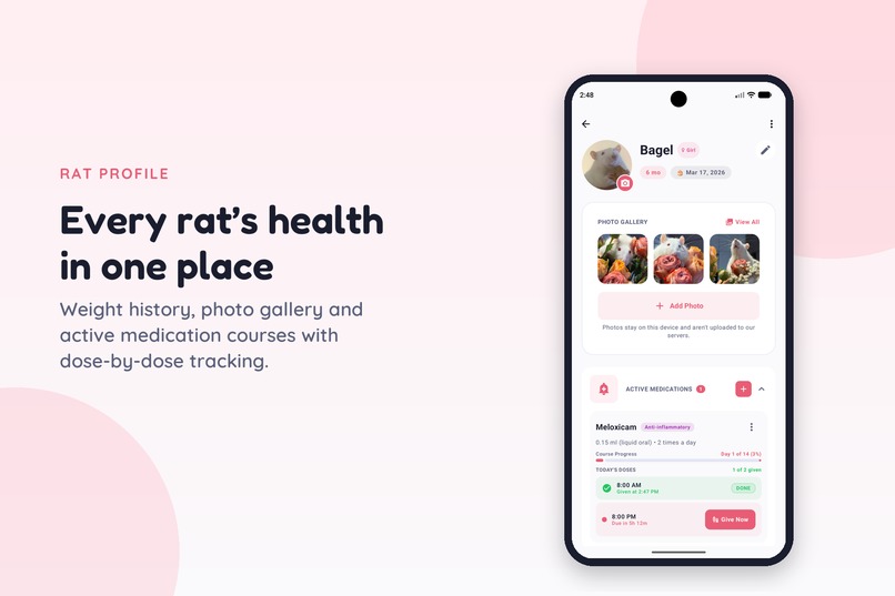 Rattitude Care – screenshot 1