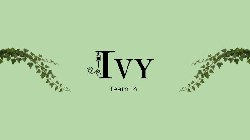Team 14 - IVY – screenshot 1