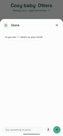 Usora – screenshot 1