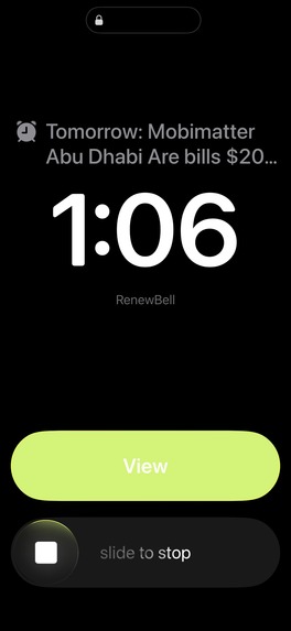 Subscription Tracker RenewBell – screenshot 2