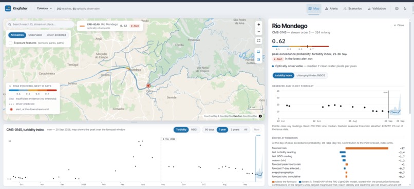 Kingfisher – screenshot 3