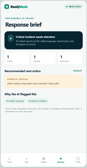 ResQMesh – screenshot 1